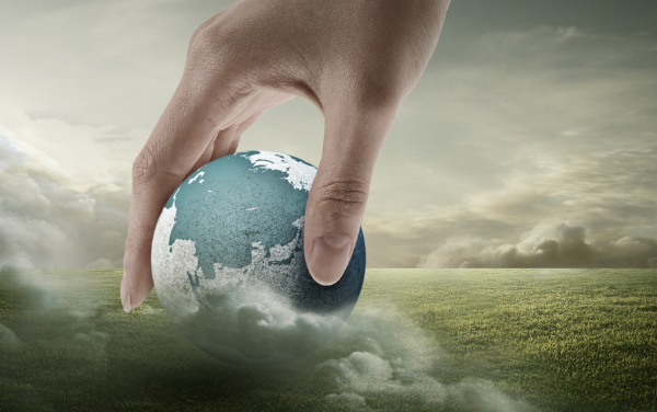 新昌ag贵宾会进出口有限公司